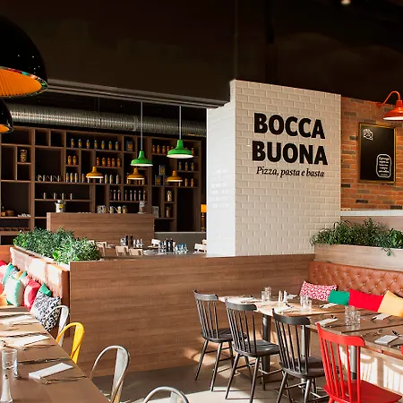 Radisson Airport Nicea